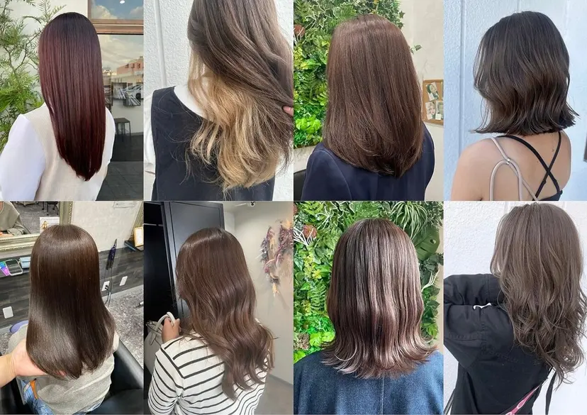 エヌプランツ 和泉府中の掲載