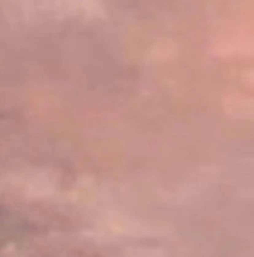 niche　東 くるみ 🩰の掲載