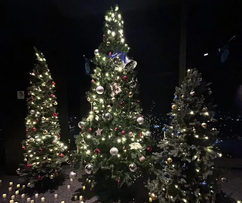 ベージュ/ダブルカラ ー/新潟駅/青柳萌果の掲載