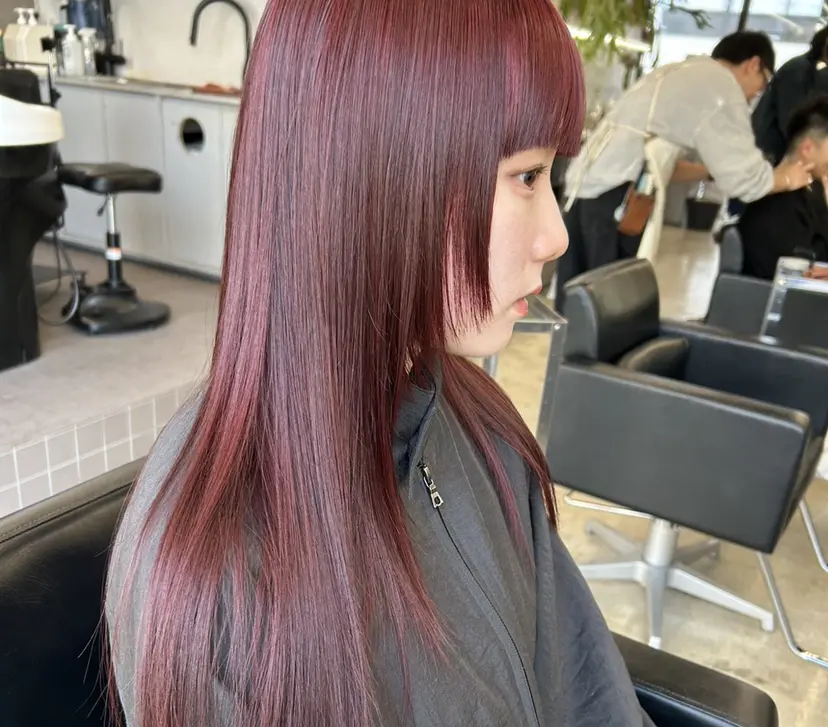 寺本 一斗の掲載