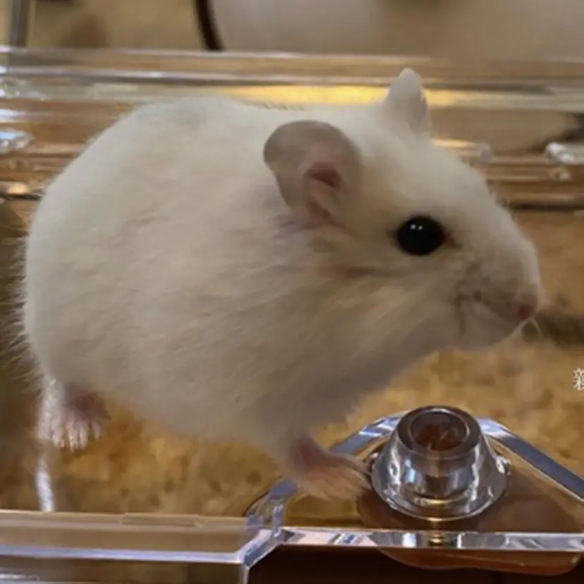 ｋ． mayumiの掲載