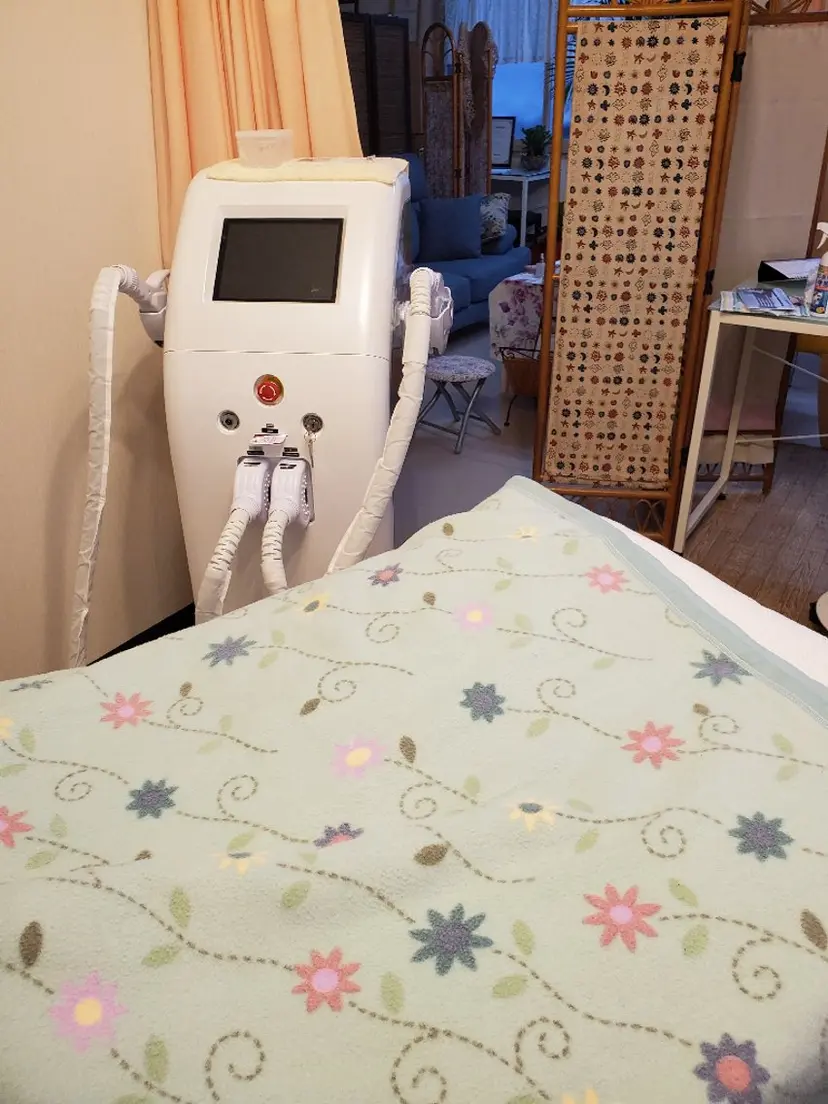 細川 智子の掲載