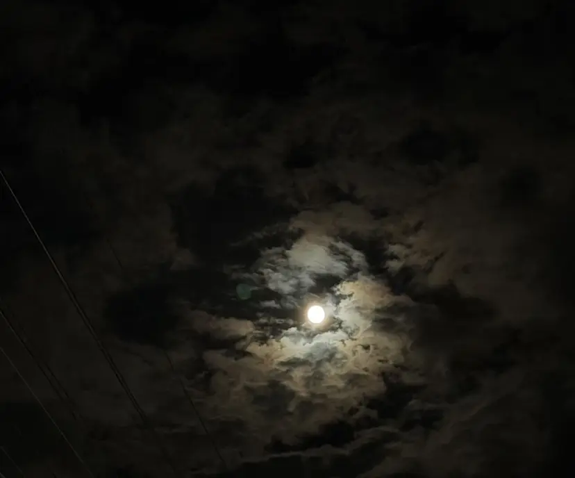 ブリーチ艶カラー KAORI🌼の掲載