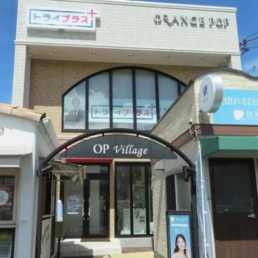 富 菜那里の掲載