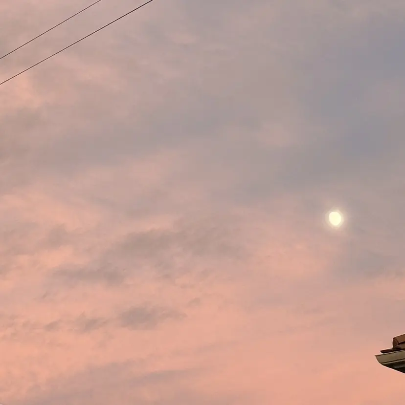 杉森 スギモリの掲載