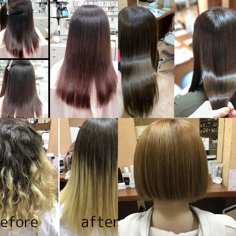 根本 未由の掲載