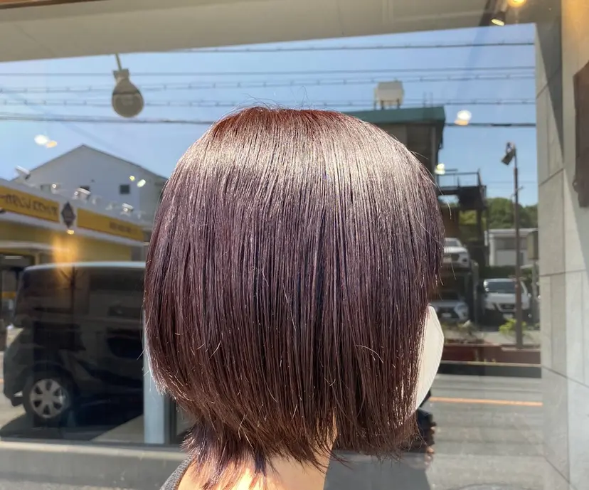 寺本 玲花の掲載