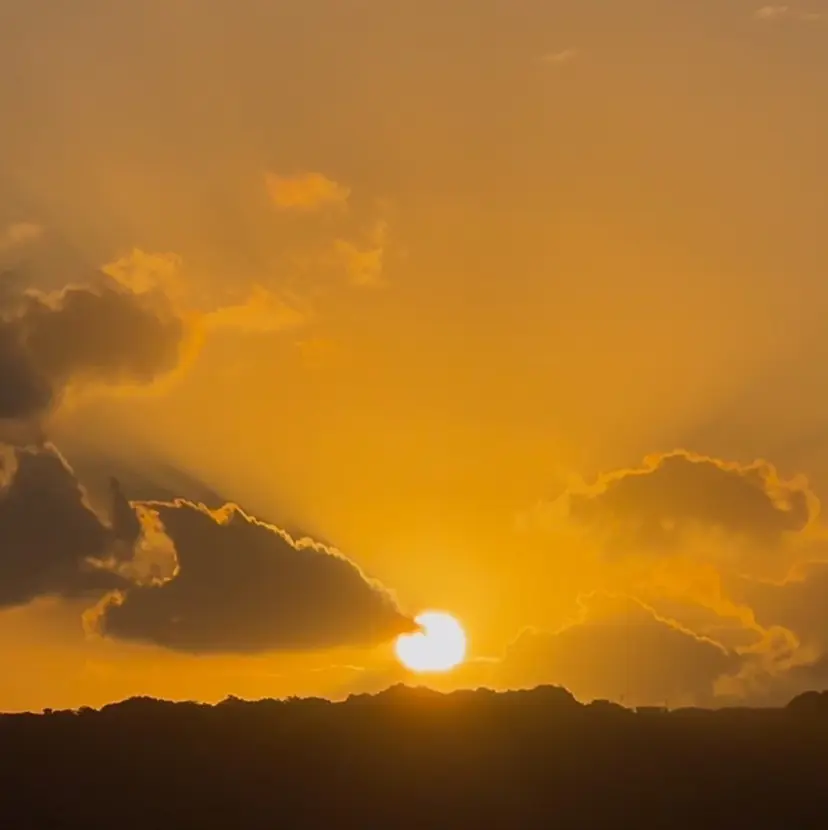 Harada Asakoの掲載