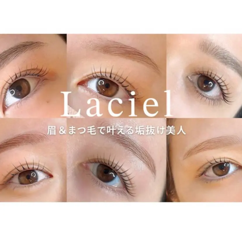 白川 美咲の掲載