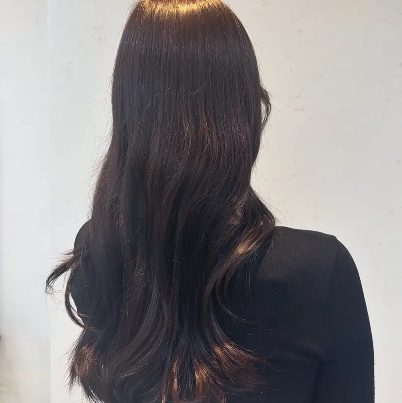 LAMP柏 🦊かなえの掲載