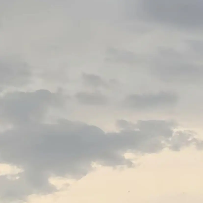 かまだ しおりの掲載