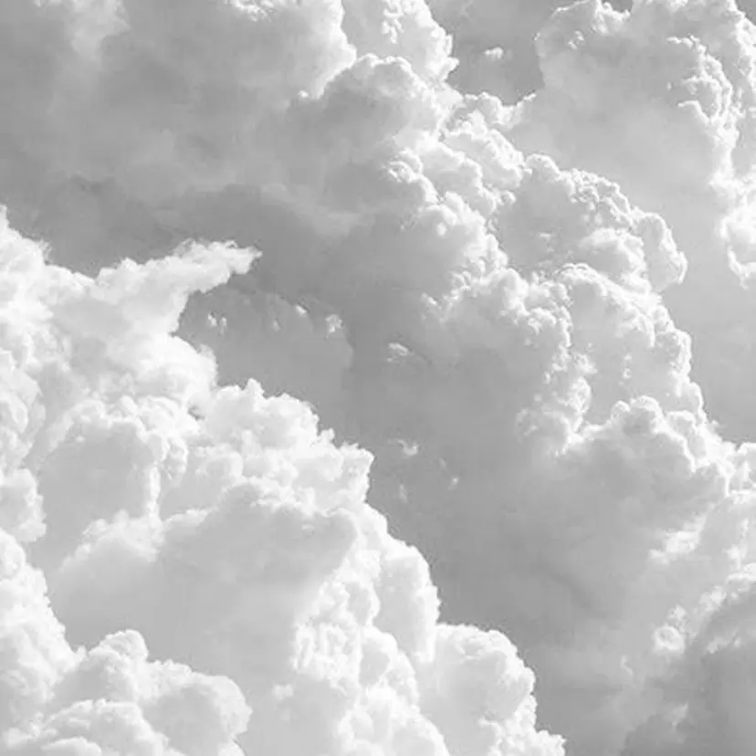 猪瀬 紗耶佳の掲載