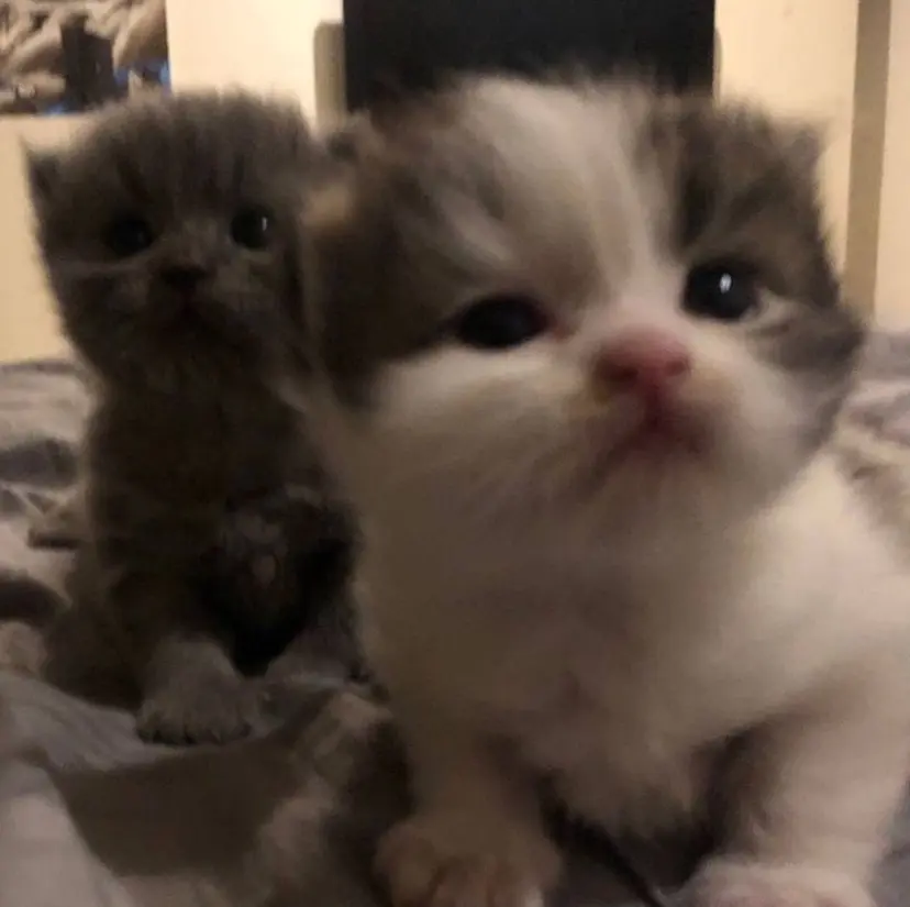 coyuki💛 eight池袋の掲載