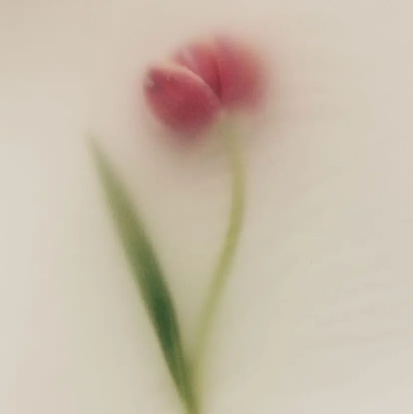 ショートカット kyokaの掲載