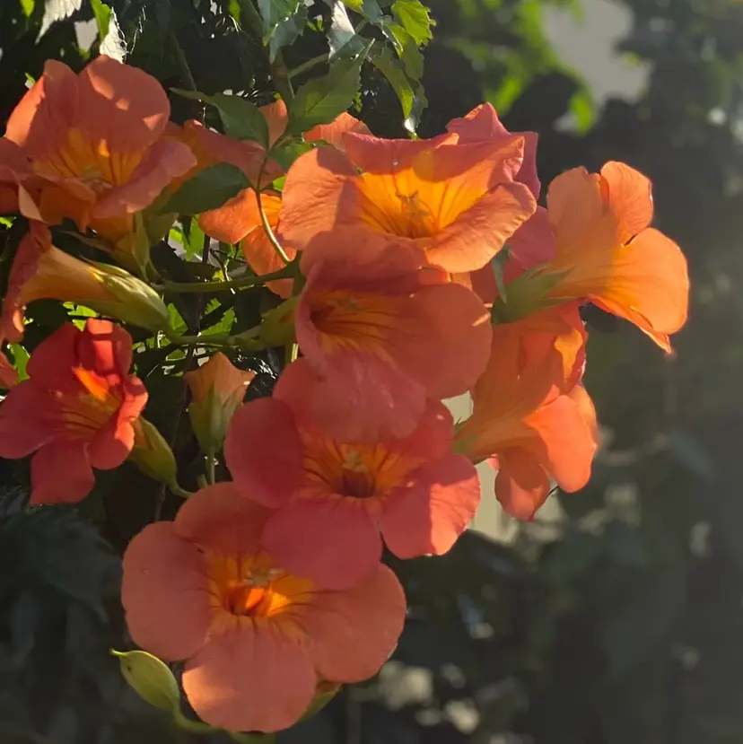 森田 雄政の掲載