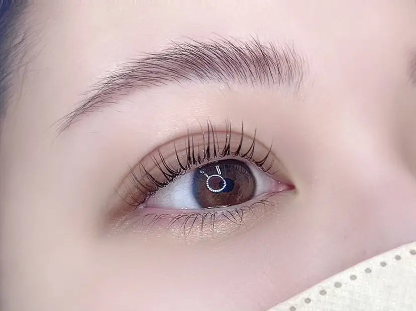 💎 L'poireの掲載