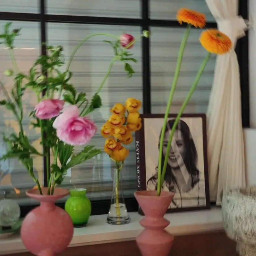 八杉 佳澄の掲載