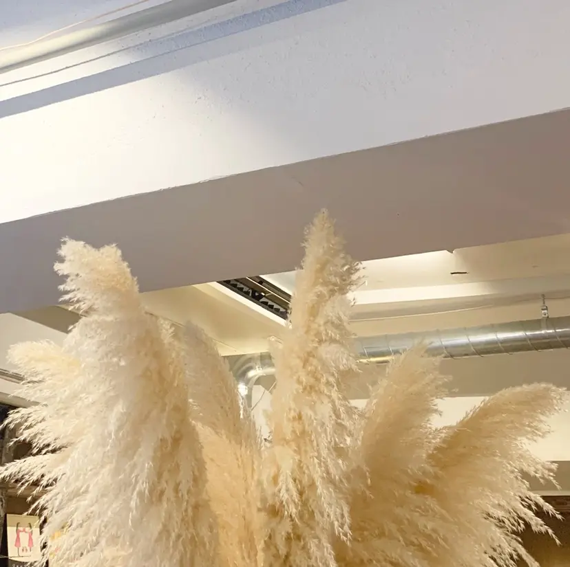 filonnail chinatsuの掲載