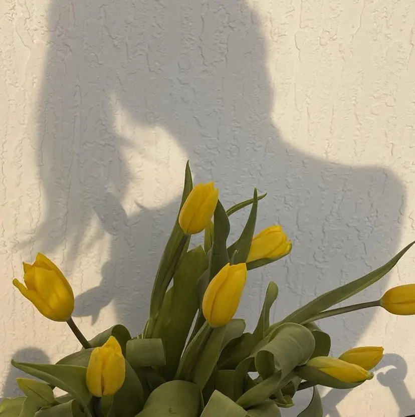 m ā l o.🌷 サカモトマイコの掲載