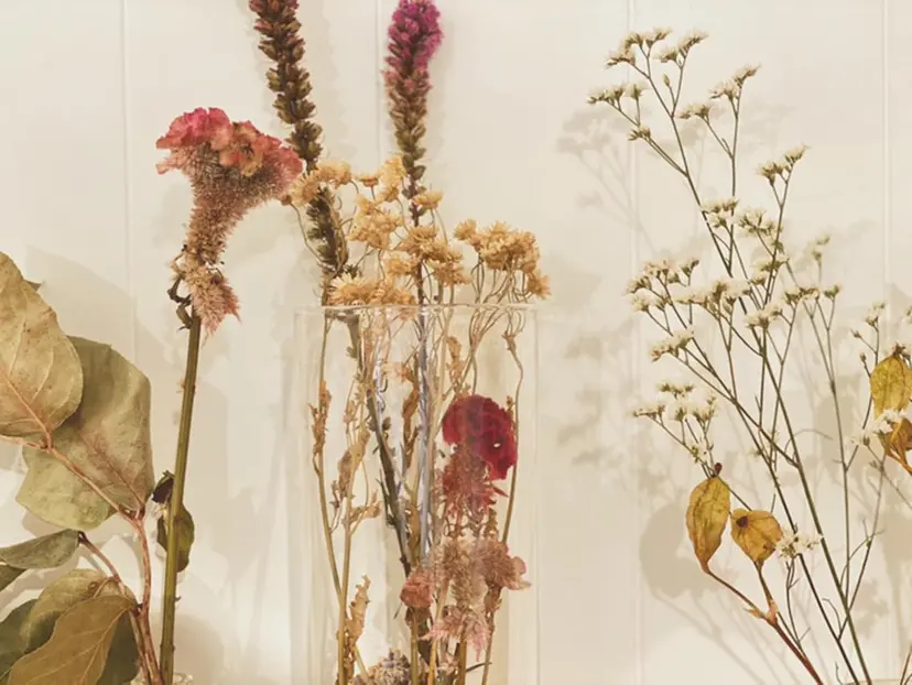 なかむら 🪡の掲載