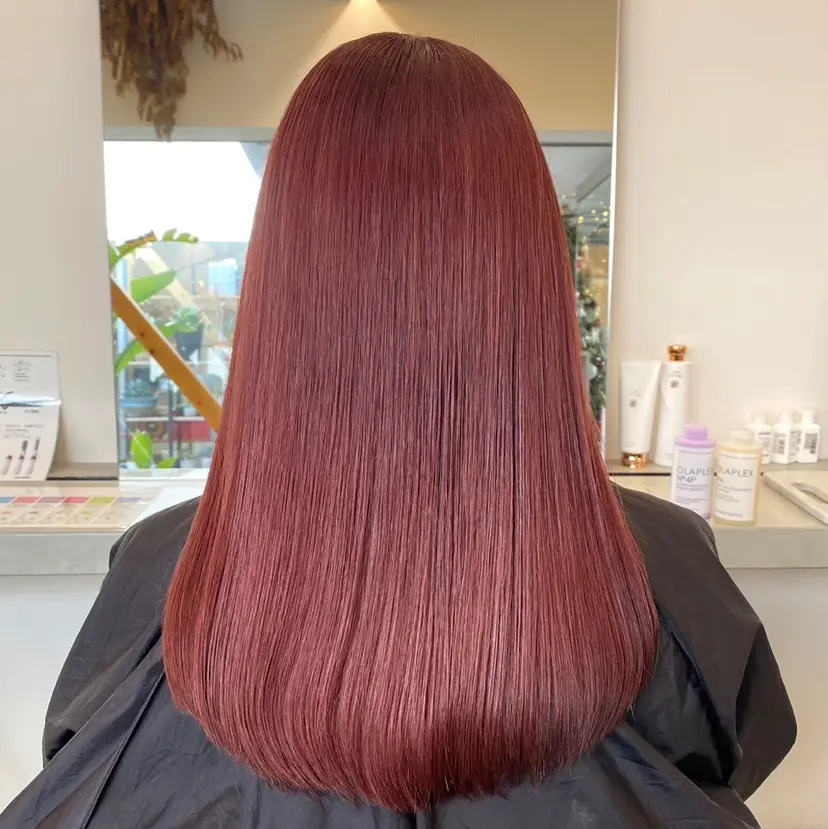 宮本 茉衣子の掲載