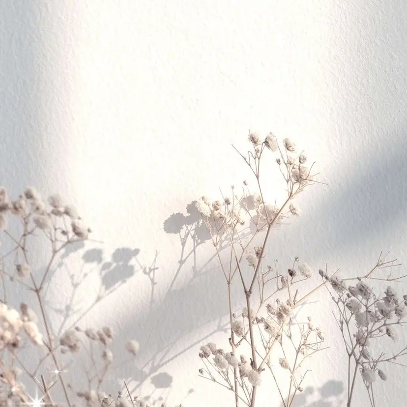 - Éclair - hitomiの掲載