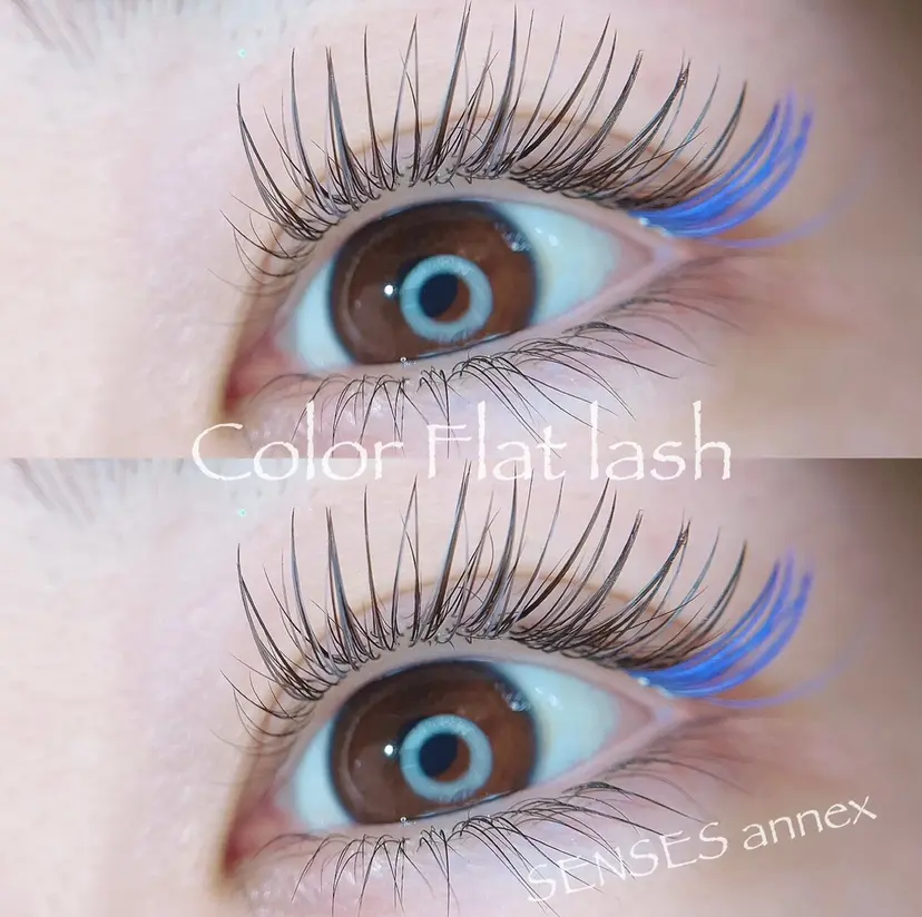 SENSES_ WAKAの掲載