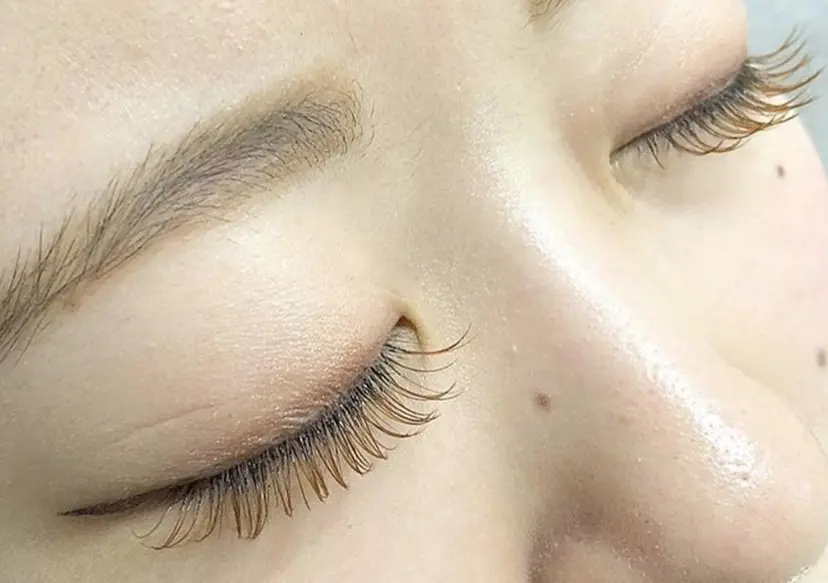 eyelash サンクチュアリ 横浜の掲載