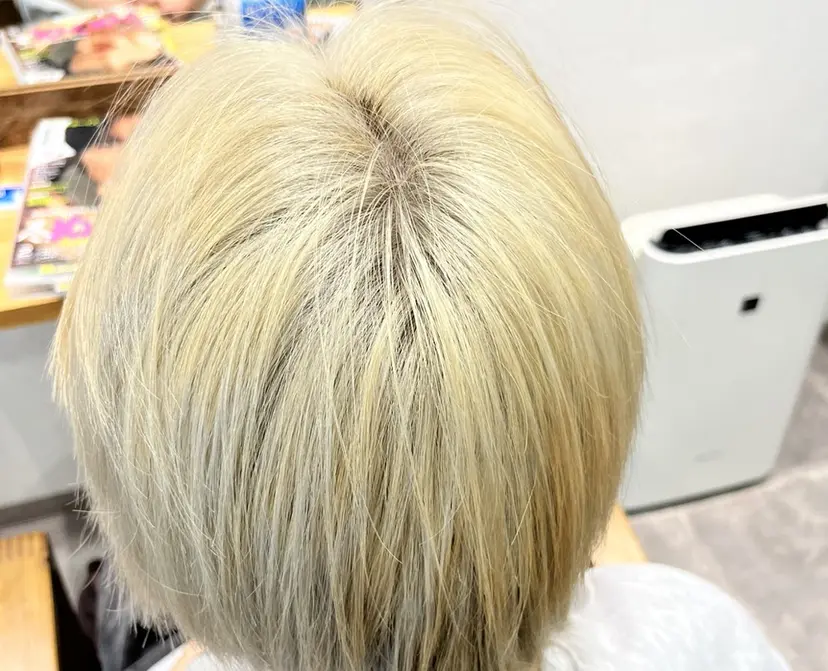 市川 智也の掲載