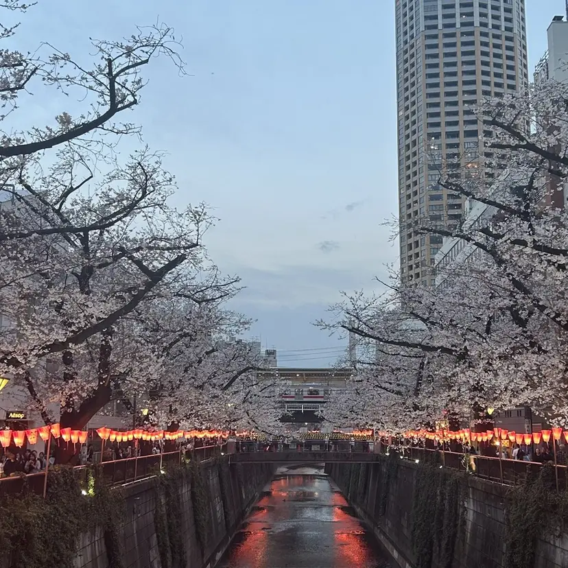 志賀 菜妃の掲載