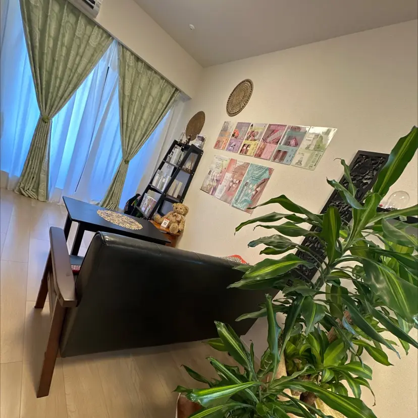 Camomille カモミールの掲載