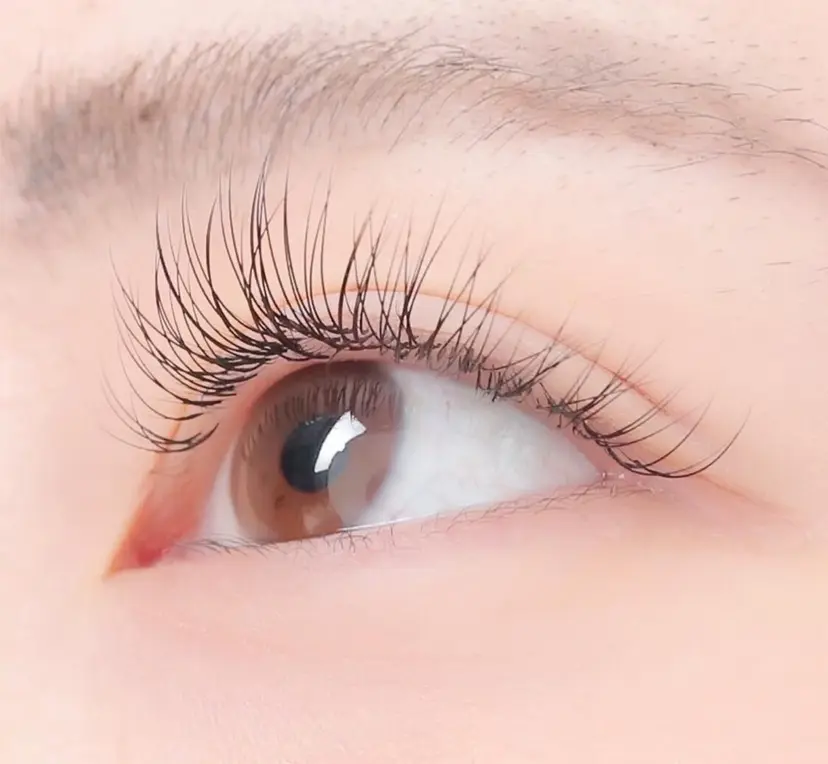 🧸Li'a おがわ🧸の掲載