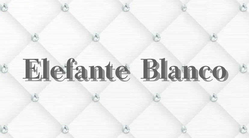 エレファンテブランコ RIOの掲載