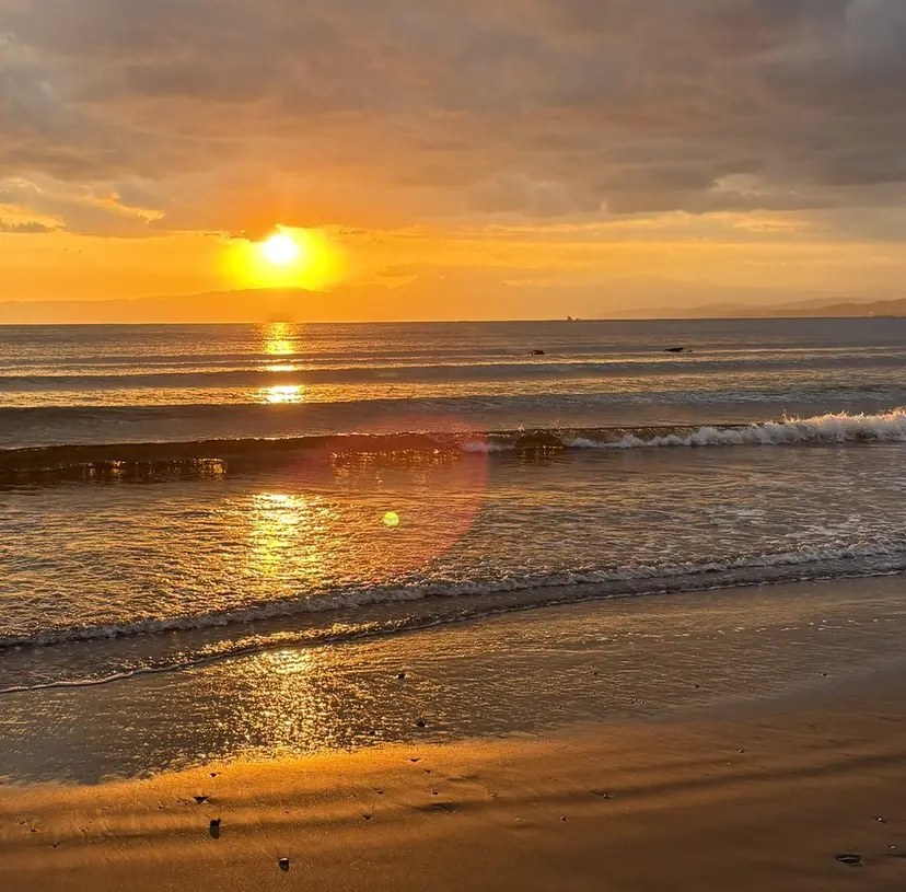 Steed /立川/ レイヤー/futahの掲載