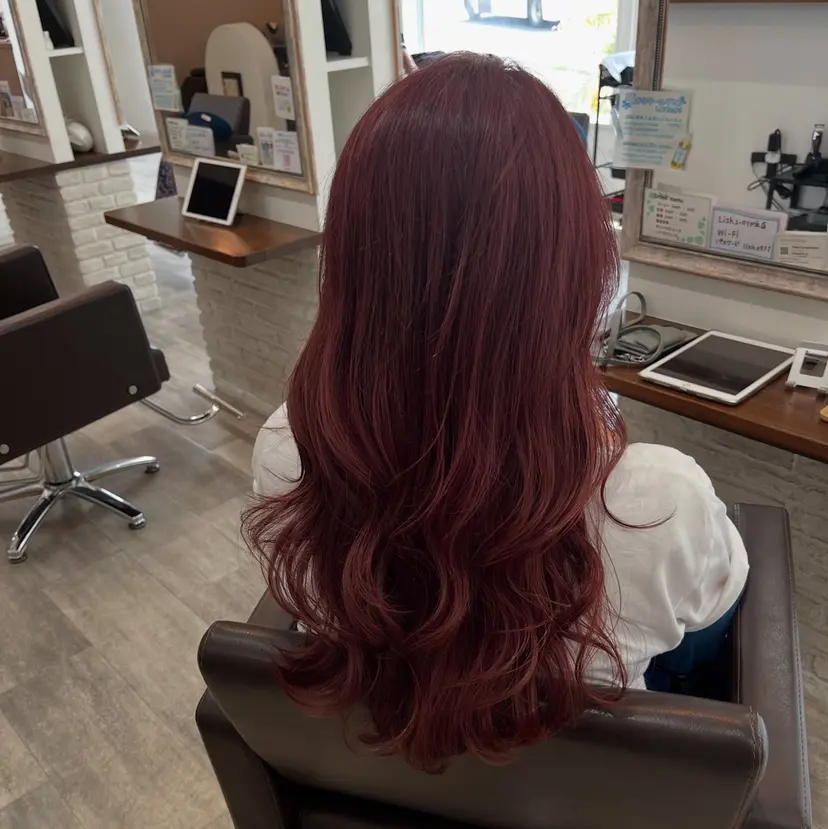 深作 真琴の掲載