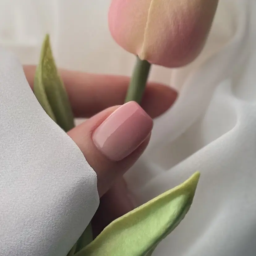 SALON DE DAHANの掲載