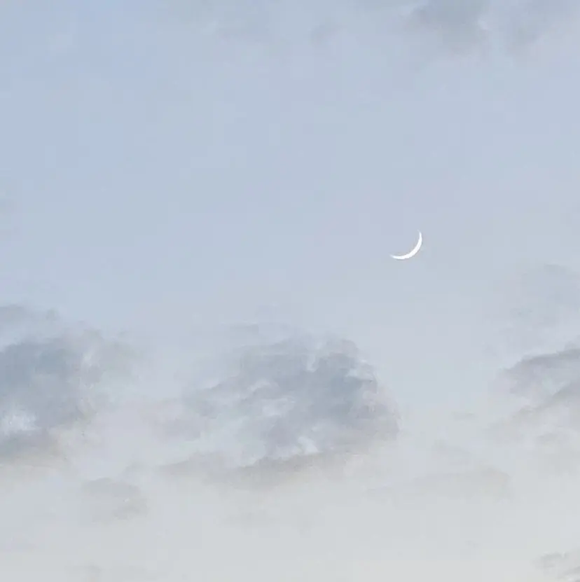 博多⌇お呼ばれヘア⌇ 透明感カラー⌇菅泉美の掲載