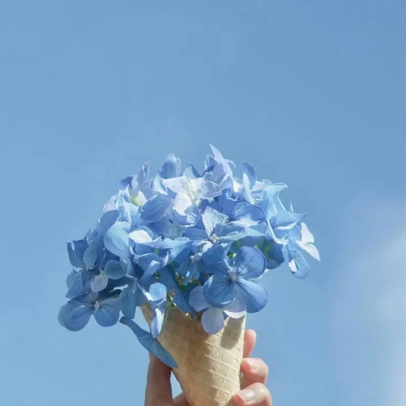 韓国束感エクステ 🧸MEMEの掲載