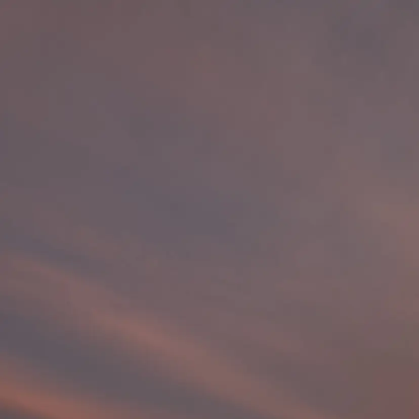 Lomalia Rukaの掲載