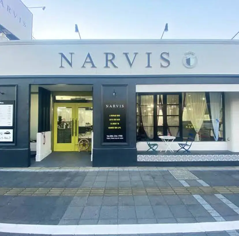 narvis なゆの掲載