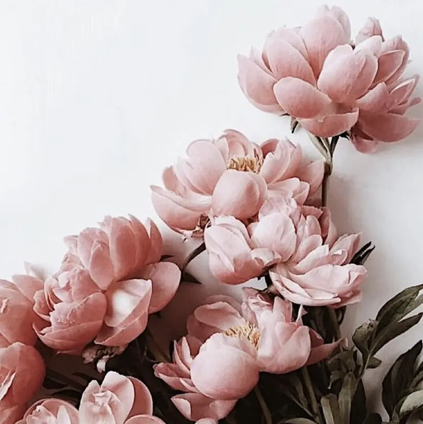 richeri beautyの掲載