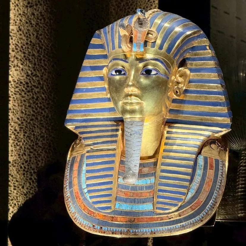 山根 由行の掲載