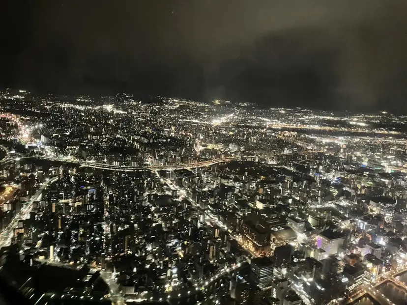 竹田 京人の掲載