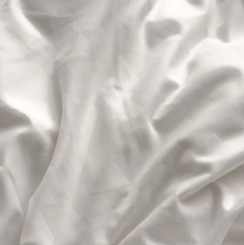 nana / Veluaの掲載