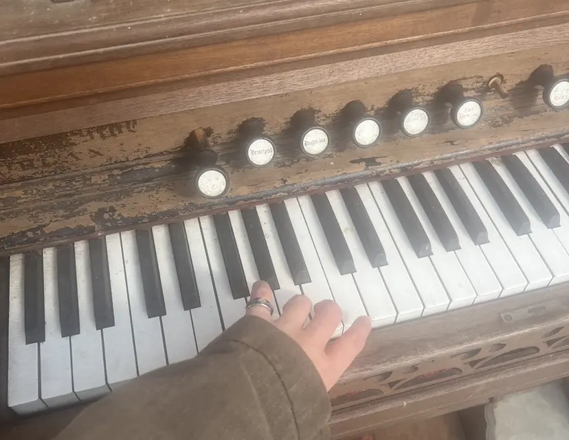 森田 琴心の掲載