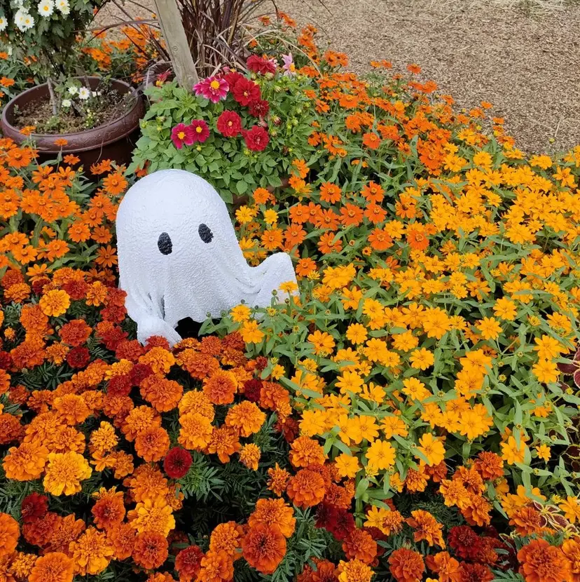 打越 秀美の掲載