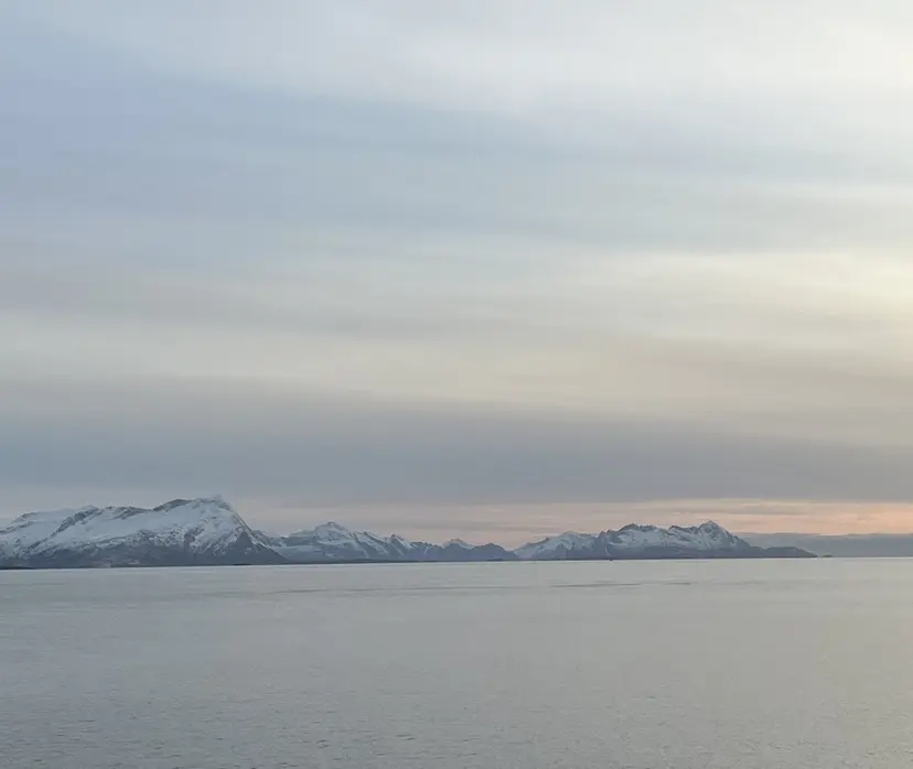 たね いちの掲載