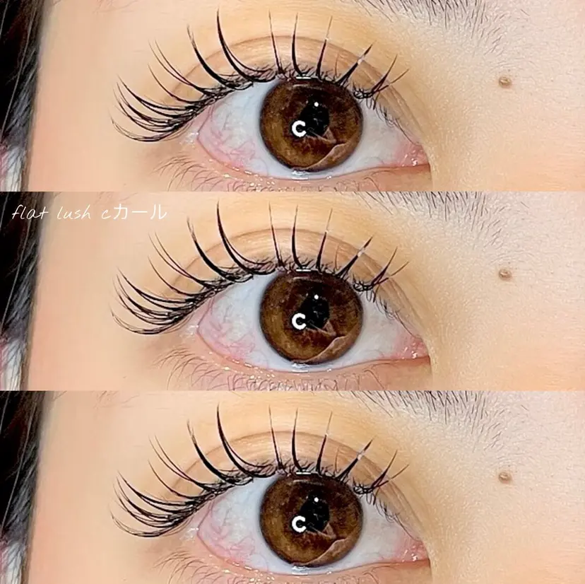 五十嵐 瑚都🕊️の掲載