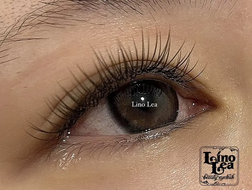 Lino  Lea NATSUMIの掲載