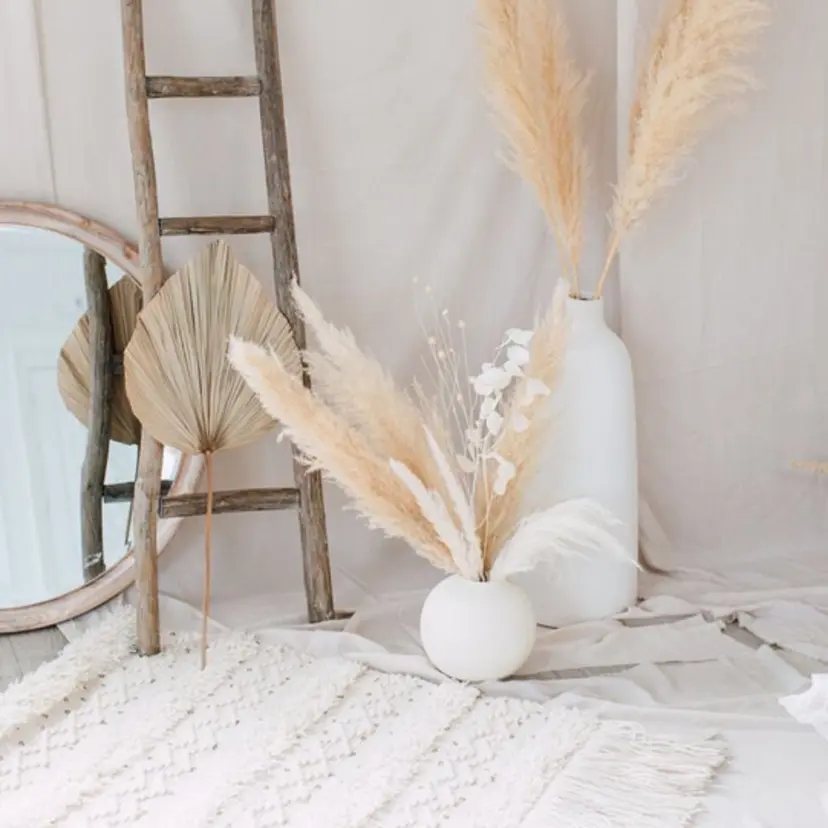 相庭恋 /カットモデル募集中の掲載